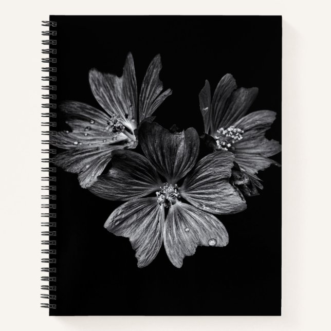 Backyard Flowers In Black And White No 11 Notebook (Front)