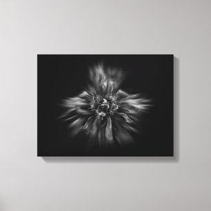 Backyard Flowers In Black And White No 49 Flow Canvas Print