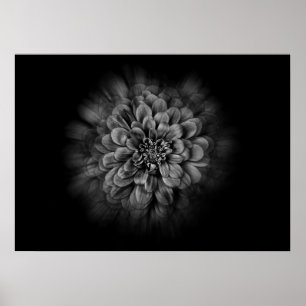 Backyard Flowers In Black And White No 54 Flow Poster