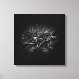 Backyard Flowers In Black And White No 67 Canvas Print