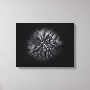 Backyard Flowers In Black And White No 68 Flow Canvas Print