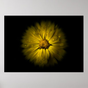 Backyard Flowers No 10 Colour Flow Version Poster