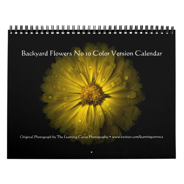 Backyard Flowers No 10 Colour Version Calendar (Cover)