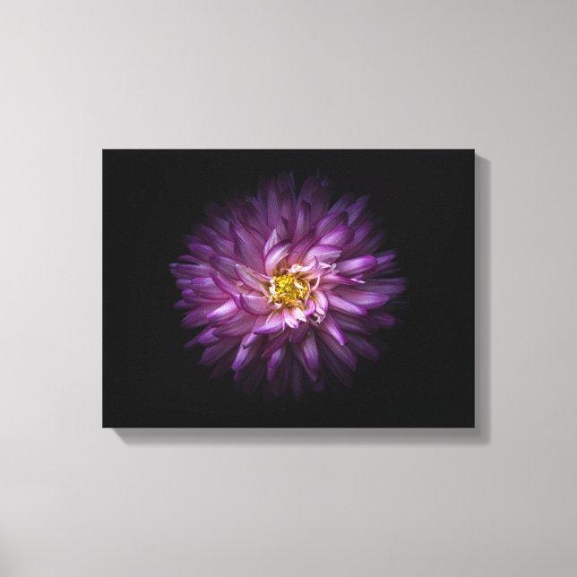 Backyard Flowers No 20 Colour Version Canvas Print (Front)