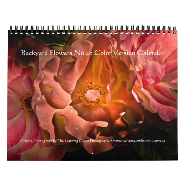 Backyard Flowers No 40 Colour Version Calendar (Cover)