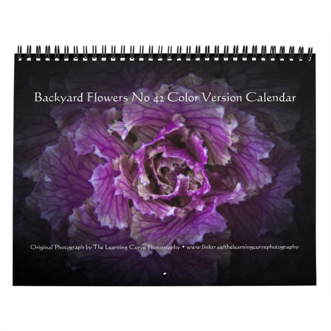 Backyard Flowers No 42 Color Version Calendar (Cover)