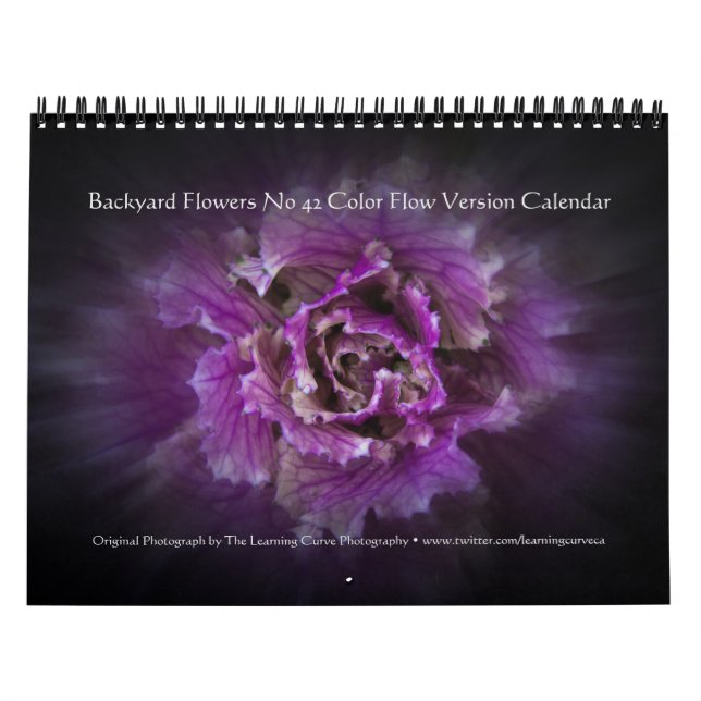 Backyard Flowers No 42 Colour Flow Version Calendar (Cover)
