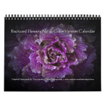 Backyard Flowers No 42 Colour Version