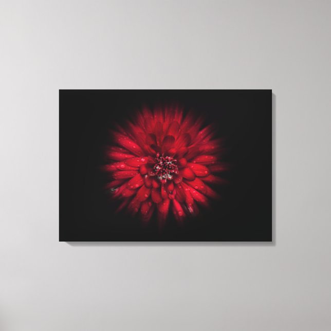 Backyard Flowers No 45 Colour Flow Version Canvas Print (Front)