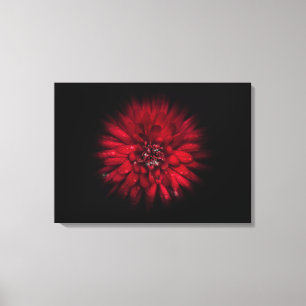 Backyard Flowers No 45 Colour Flow Version Canvas Print