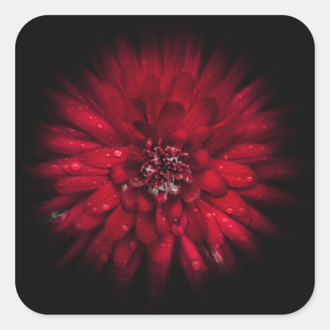 Backyard Flowers No 45 Colour Flow Version Square Sticker (Front)