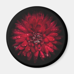 Backyard Flowers No 45 Colour Version Magnet