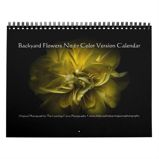 Backyard Flowers No 67 Colour Version Calendar (Cover)
