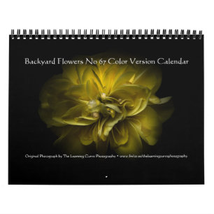 Backyard Flowers No 67 Colour Version Calendar