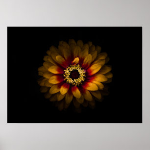 Backyard Flowers No 69 Color Version Poster