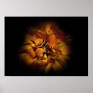 Backyard Flowers No 80 Colour Flow Version Poster
