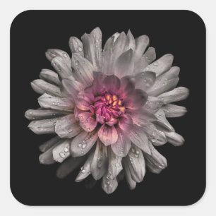 Backyard Flowers No 91 Color Version Square Sticker