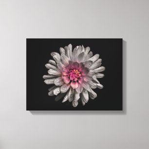 Backyard Flowers No 91 Colour Version Canvas Print