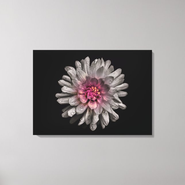 Backyard Flowers No 91 Colour Version Canvas Print (Front)