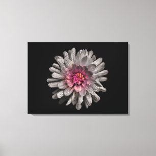 Backyard Flowers No 91 Colour Version Canvas Print