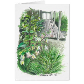 Backyard garden