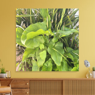 Backyard Garden Closeup Outdoor Nature Photo Canvas Print