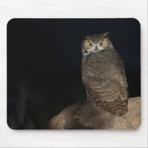Backyard Great Horned Owl Mouse Mat