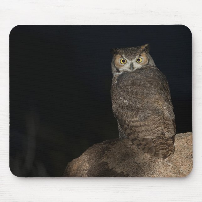 Backyard Great Horned Owl Mouse Mat (Front)