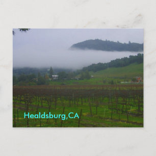 backyard, Healdsburg,CA Postcard