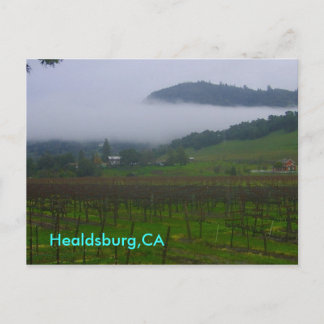 backyard, Healdsburg,CA Postcard