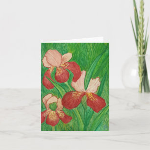 Backyard Iris Note Card