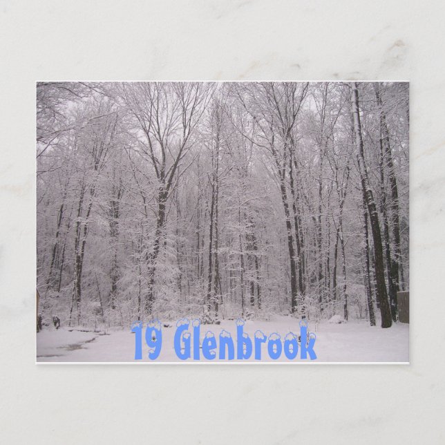 backyard postcard (Front)