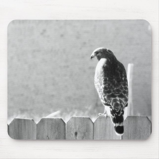 Backyard visitor mouse mat (Front)