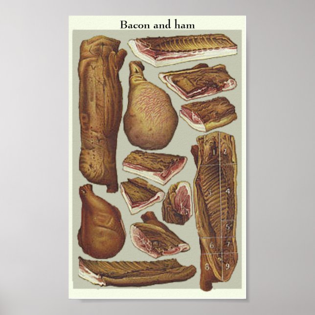 Bacon and ham vintage educational poster (Front)