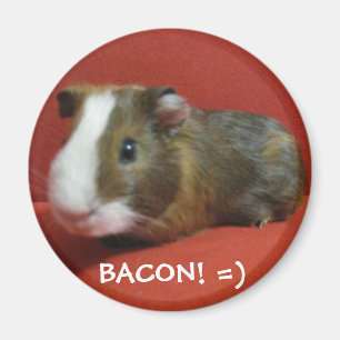 bacon, BACON! =) Magnet