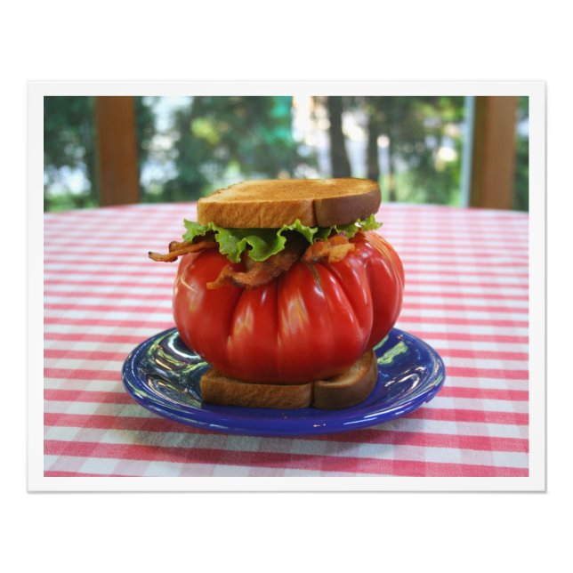 Bacon, Lettuce and Giant Tomato Sandwich Photo Print (Front)
