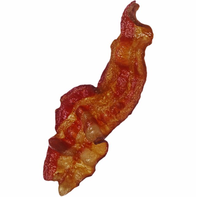 Bacon Photo Sculpture (Front)
