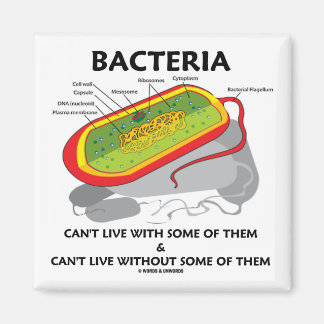 Bacteria Can't Live With Some Of Them Can't Live Magnet