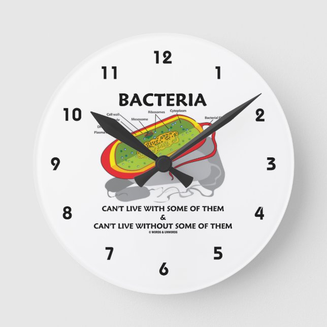 Bacteria Can't Live With Some Of Them & Can't Live Round Clock (Front)