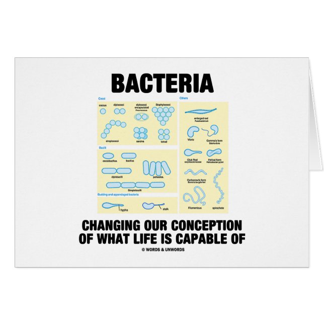 Bacteria Changing Our Conception What Life Is (Front Horizontal)