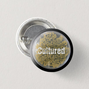 Bacteria Culture Plate Button
