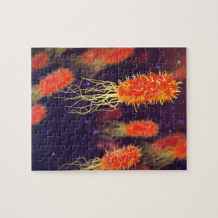 Bacteria Flagella Jigsaw Puzzle