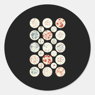 bacteria funny microbiology bacteria science tiny classic round sticker