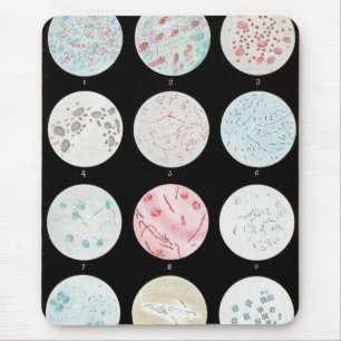 Bacteria Mouse Mat