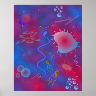 Bacteria Poster