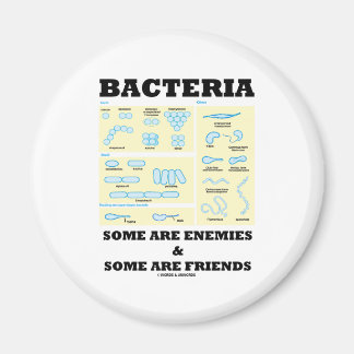 Bacteria Some Are Enemies & Some Are Friends Magnet