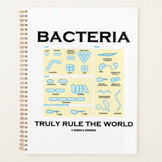 Bacteria Truly Rule The World Morphology Planner
