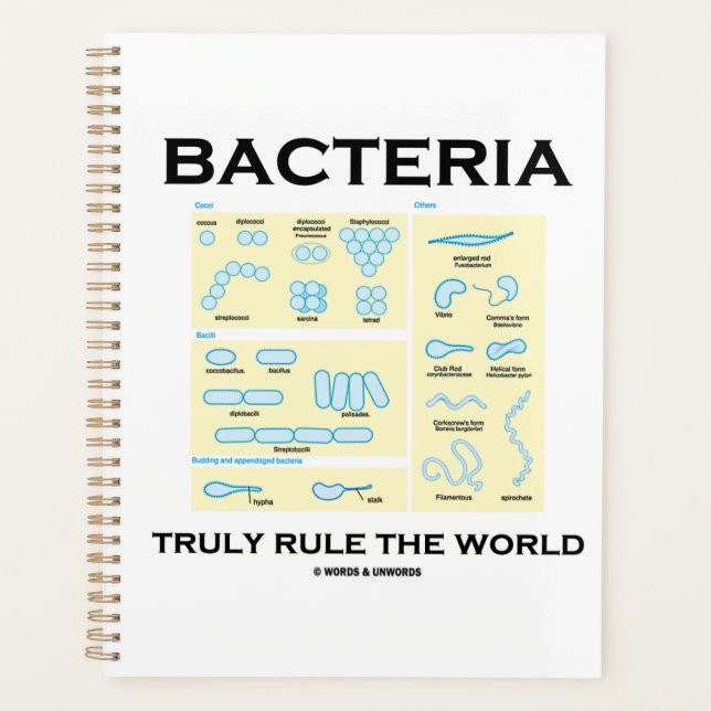 Bacteria Truly Rule The World Morphology Planner (Front)