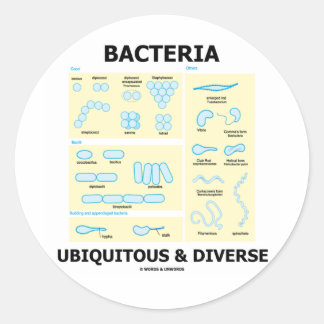 Bacteria Ubiquitous & Diverse (Shapes & Sizes) Classic Round Sticker