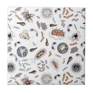 Bacteria & Virus Pattern Tile